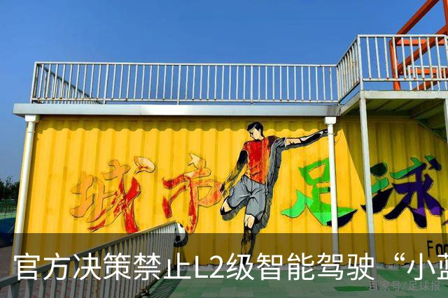 官方决策禁止L2级智能驾驶“小蓝灯”使用