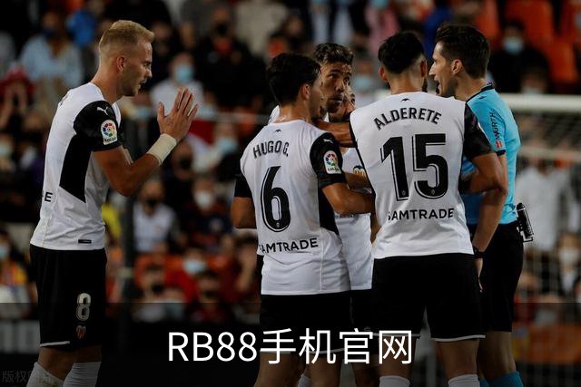 RB88手机官网公司介绍图片